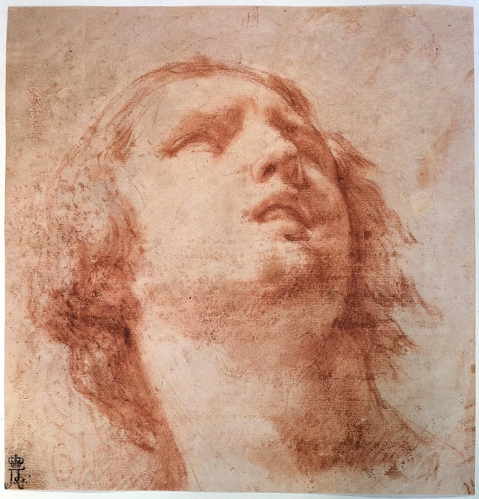 Studio del capo di una donna che guarda in alto